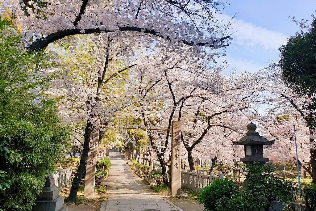 Villa Pola Inn道頓堀店黒門市場道頓堀心斎橋徒歩エリアファミリー旅行最適 Osaka Japan